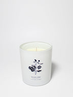 Signature Tropical Citrus Natural Home 11.5 oz scented candle