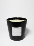Signature Tropical Citrus Natural Home 31 oz scented candle