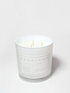 Signature Whipped Vanilla Pumpkin 21 oz scented candle