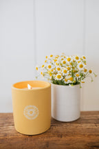 Signature Sun Washed Citrus 12 oz scented candle