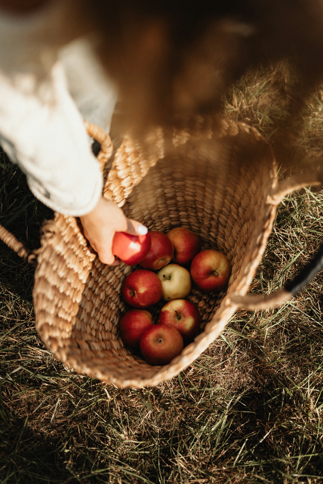 Signature Apple Picking 12 oz scented candle