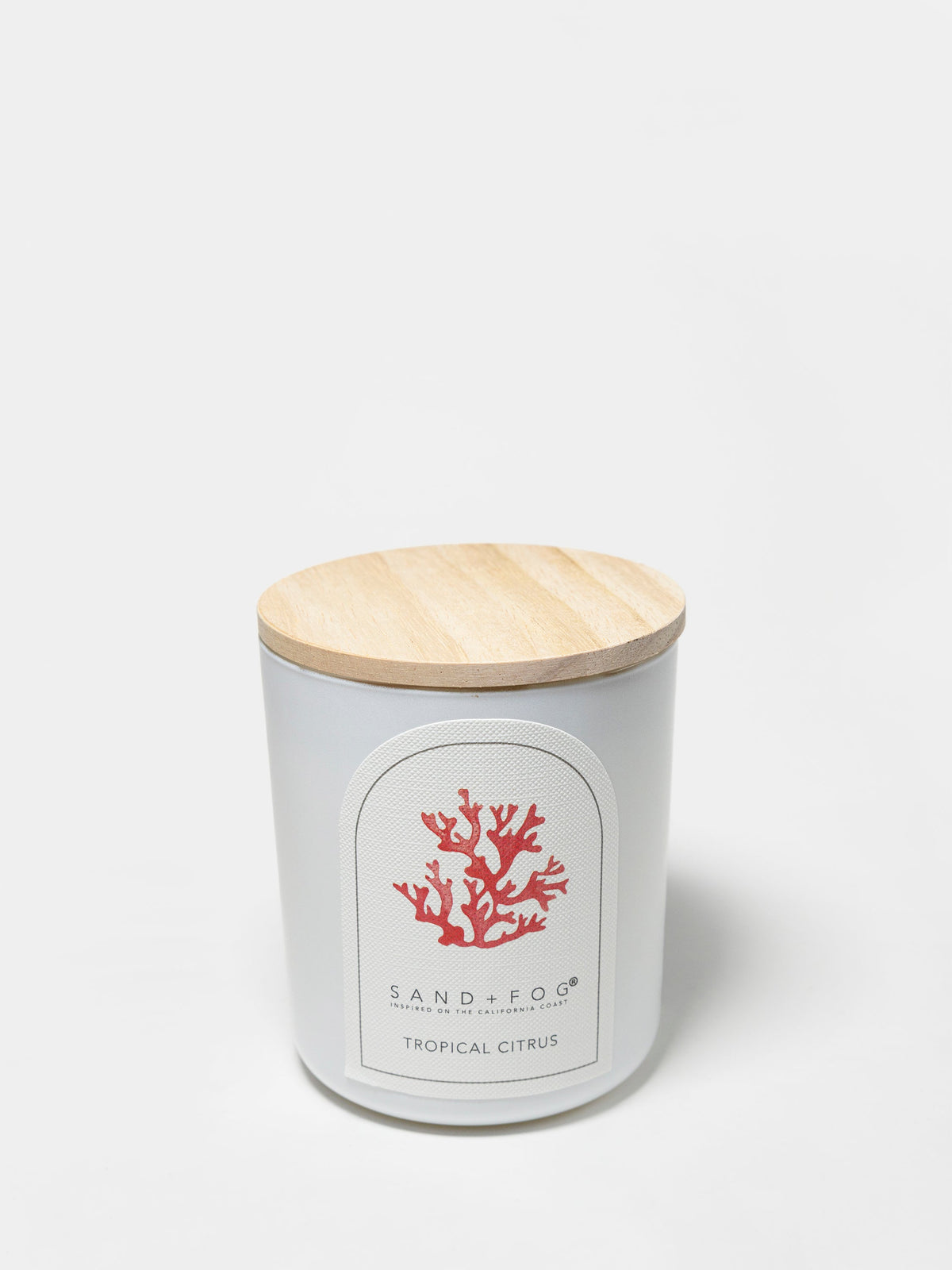 Signature Tropical Citrus 10 oz scented candle