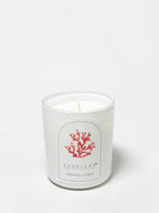 Signature Tropical Citrus 10 oz scented candle
