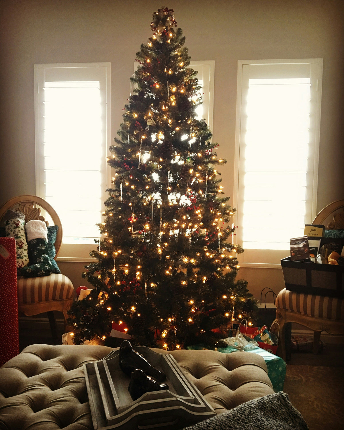 Premium Holiday 24 oz scented candle