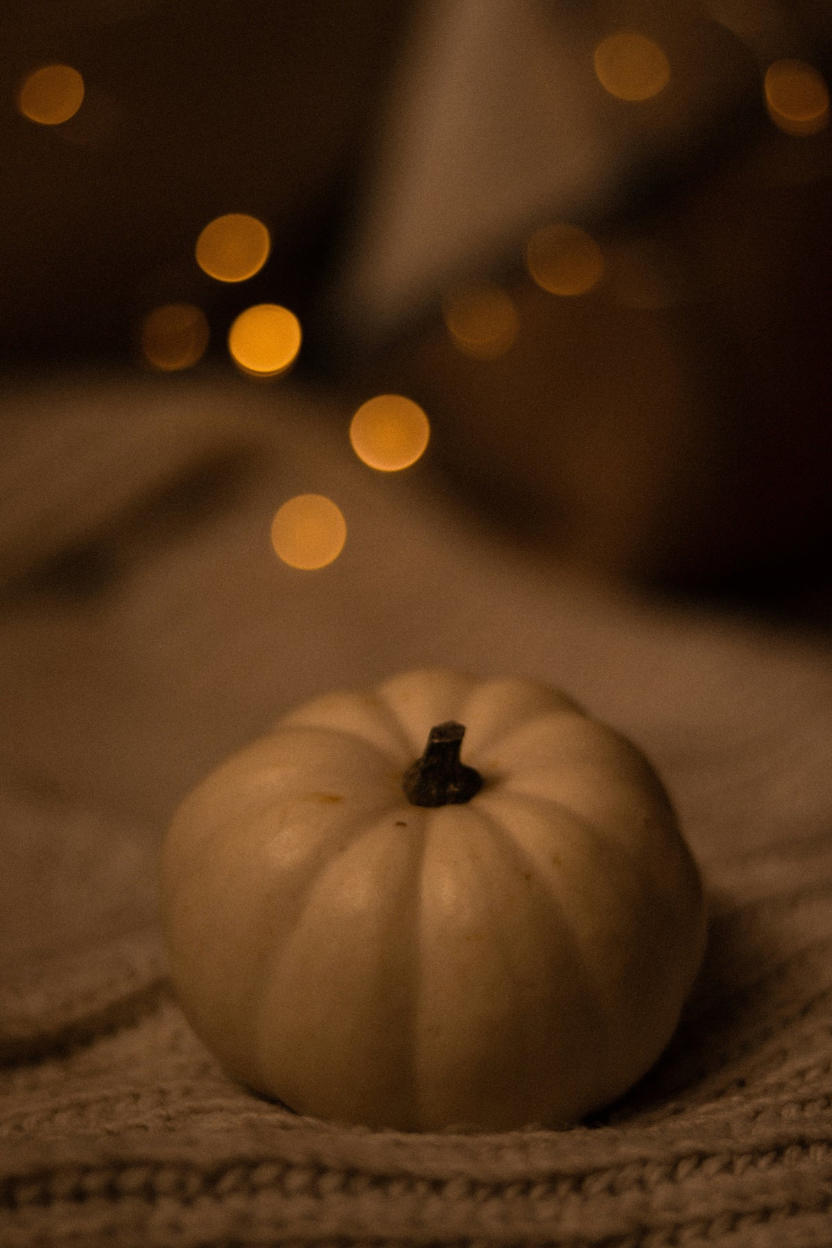 Premium Vanilla Pumpkin 12 oz scented candle